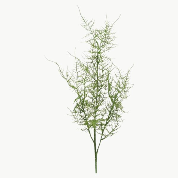 Kunstig grønn Plumosus gren 70 cm med fin og luftig struktur