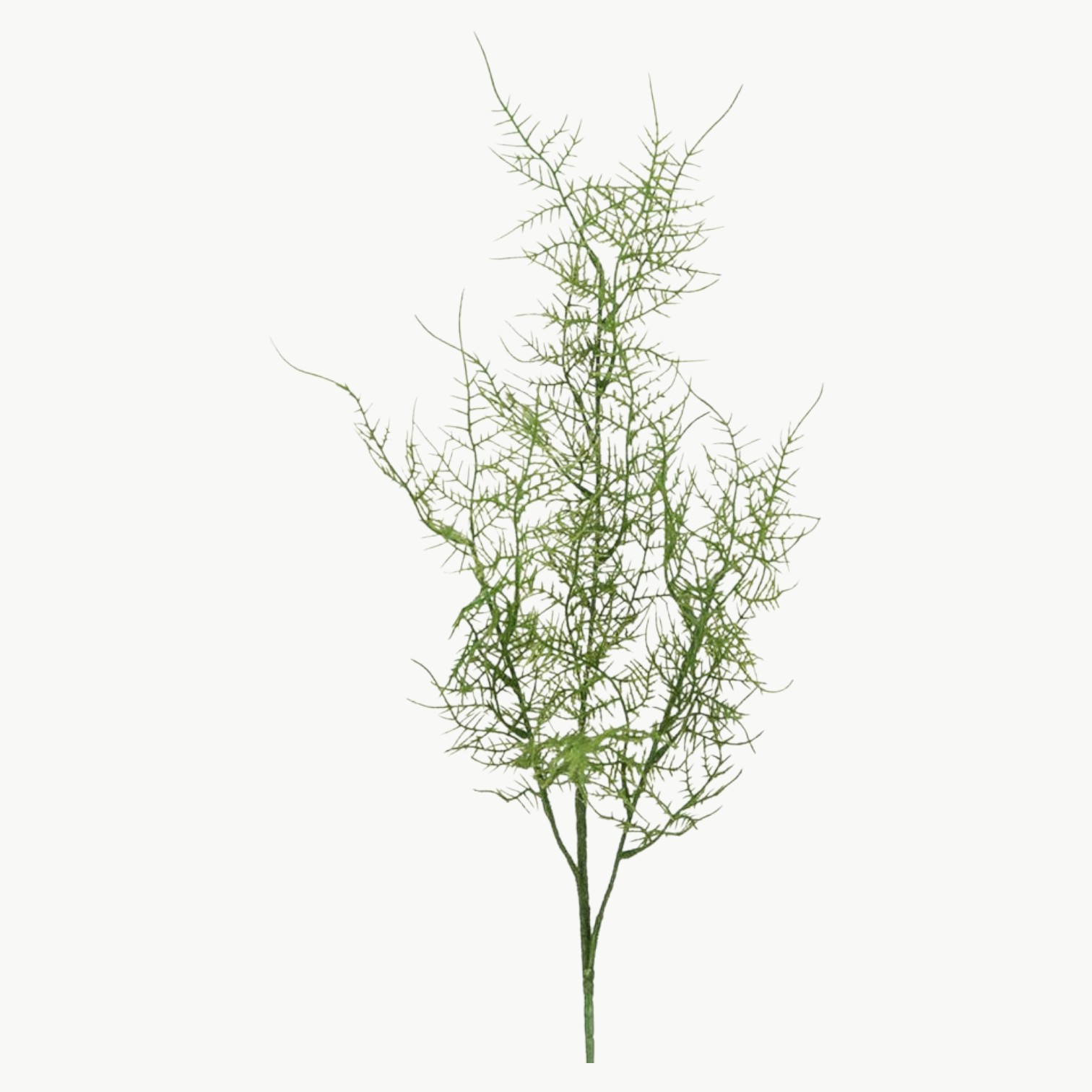 Kunstig grønn Plumosus gren 70 cm med fin og luftig struktur