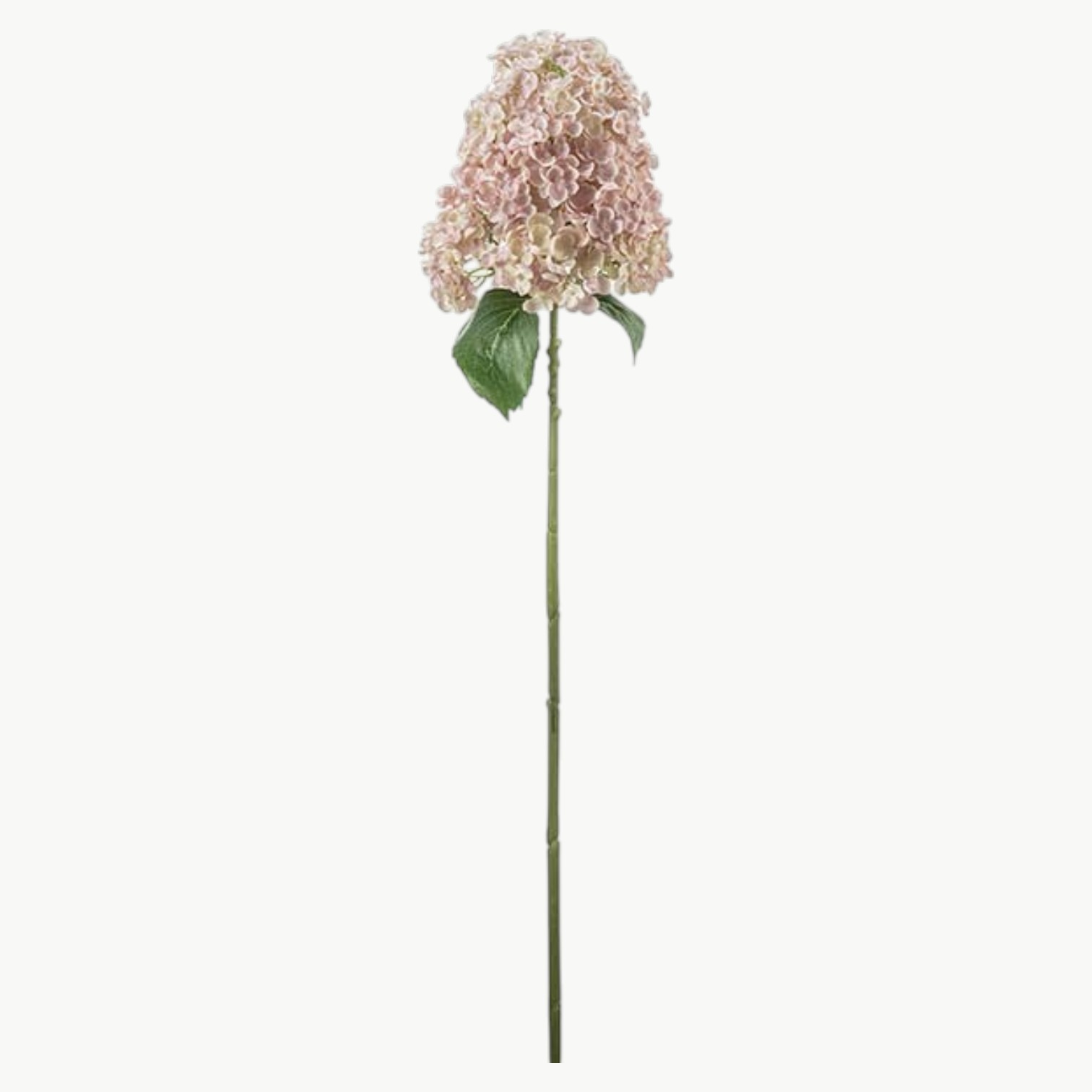 Syrénhortensia i rosa farge med lang stilk, 84 cm høy