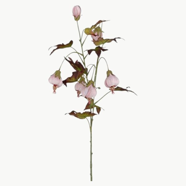 Blomsterlønn i rosa farge med hengende blomster på stilk, 83 cm høy