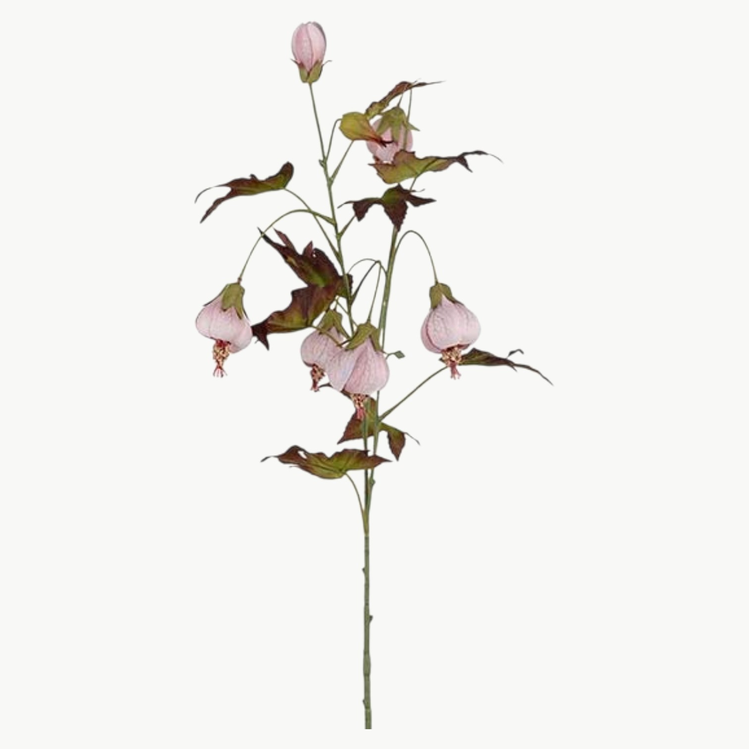 Blomsterlønn i rosa farge med hengende blomster på stilk, 83 cm høy