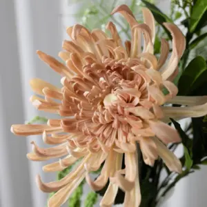 Soft Essence – Kunstig Blomsterbukett - Bilde 4