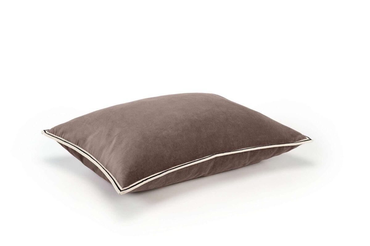 Pyntepute Aristote Chocolat