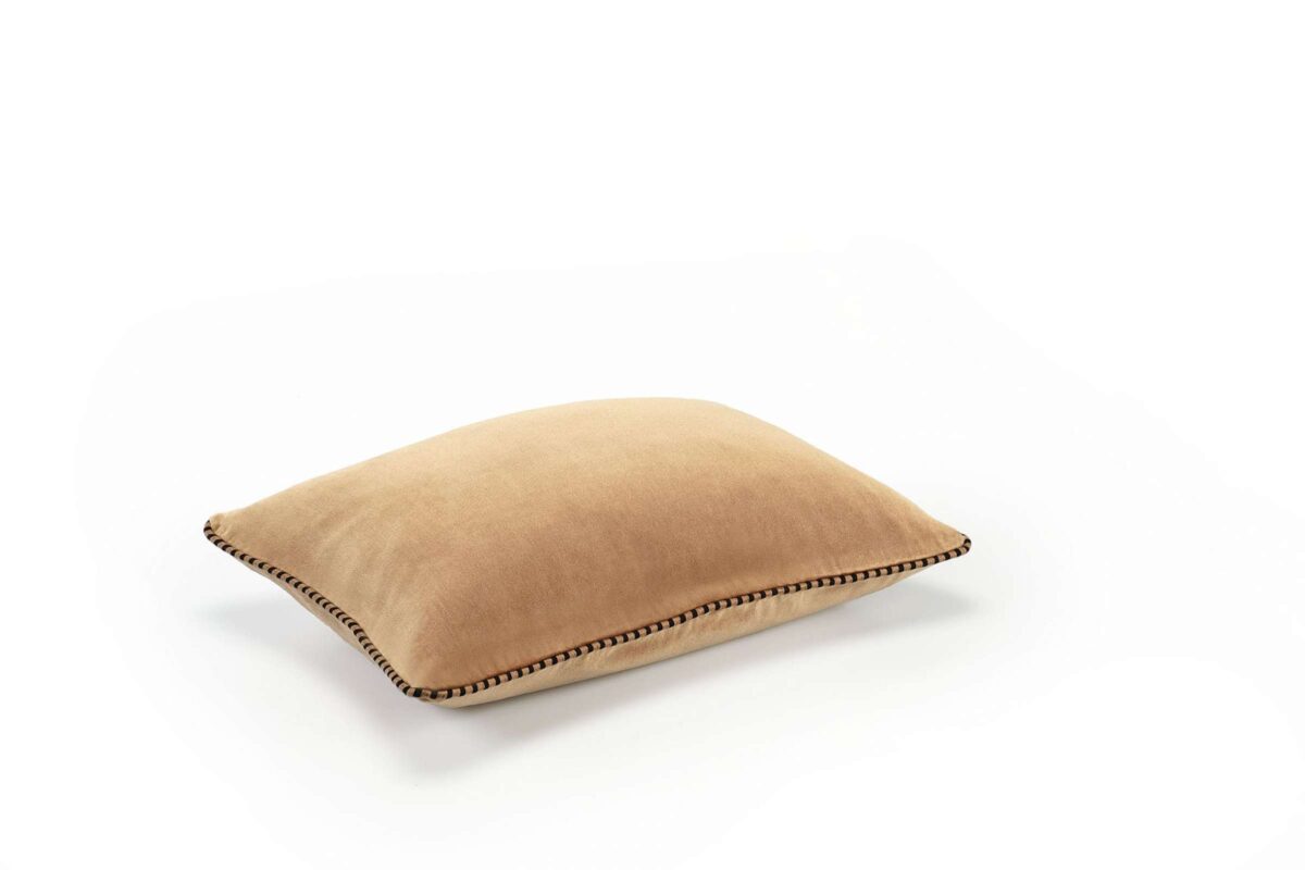 Pyntepute Olympe Noisette