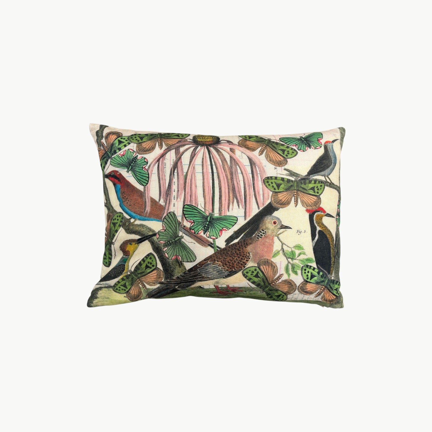 John Derian (for Designers Guild) Floral Aviary Parchment pyntepute med fugler og sommerfugler 60x45