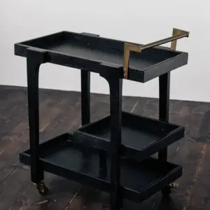 Boston bartralle sort - Bilde 8