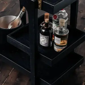 Boston bartralle sort - Bilde 7