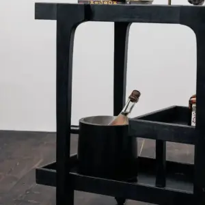 Boston bartralle sort - Bilde 3