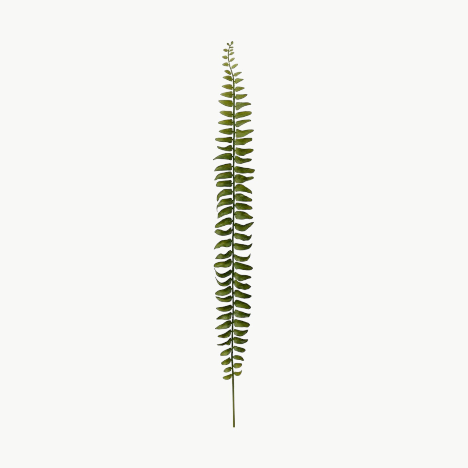 Kunstig ormbunksblad i grønn, 78 cm