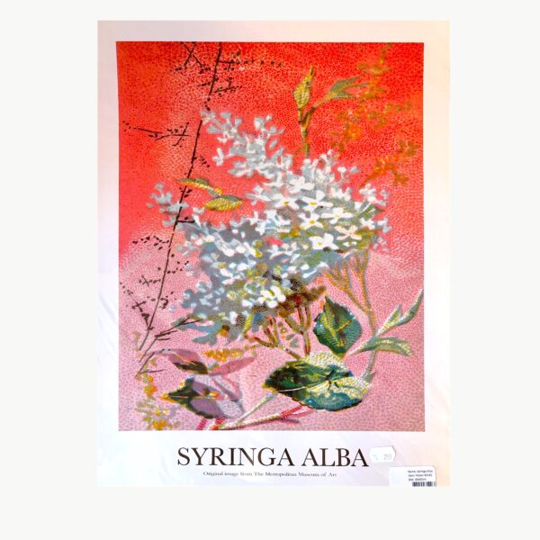 Plakat med motivet Syringa Alba