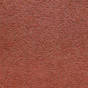 Camelot Coral
