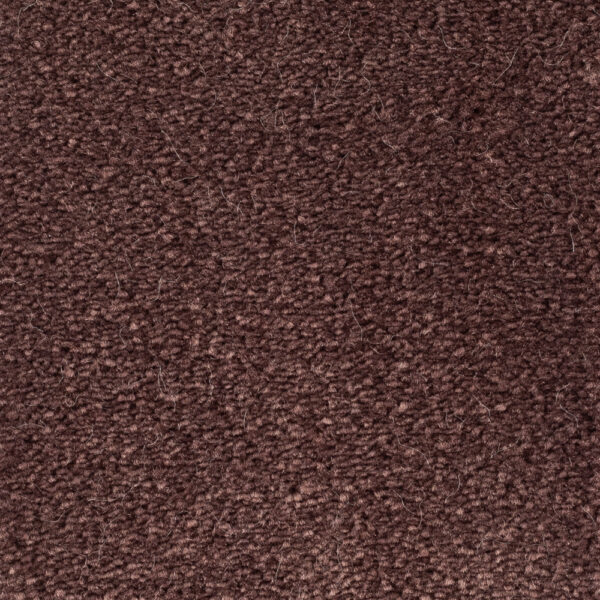Avalon Plum