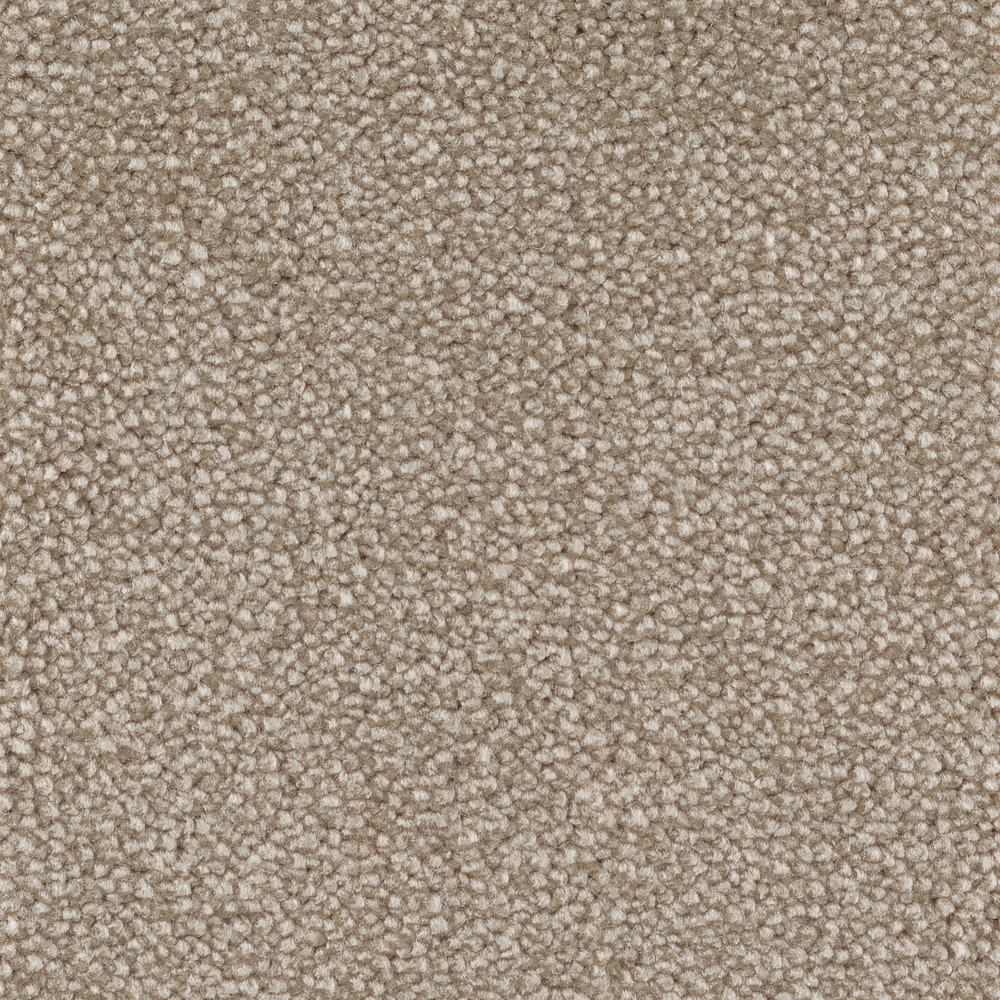 Jive Sand
