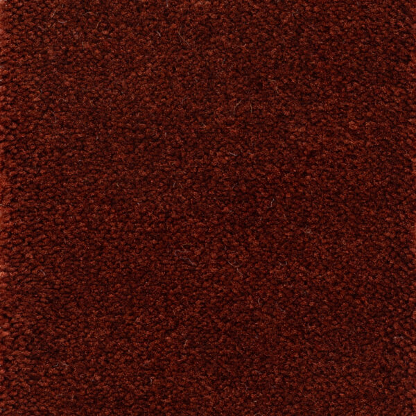 Astoria Accent Brick