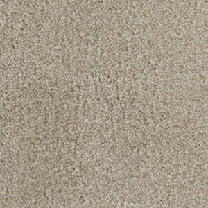Mondo Wheat