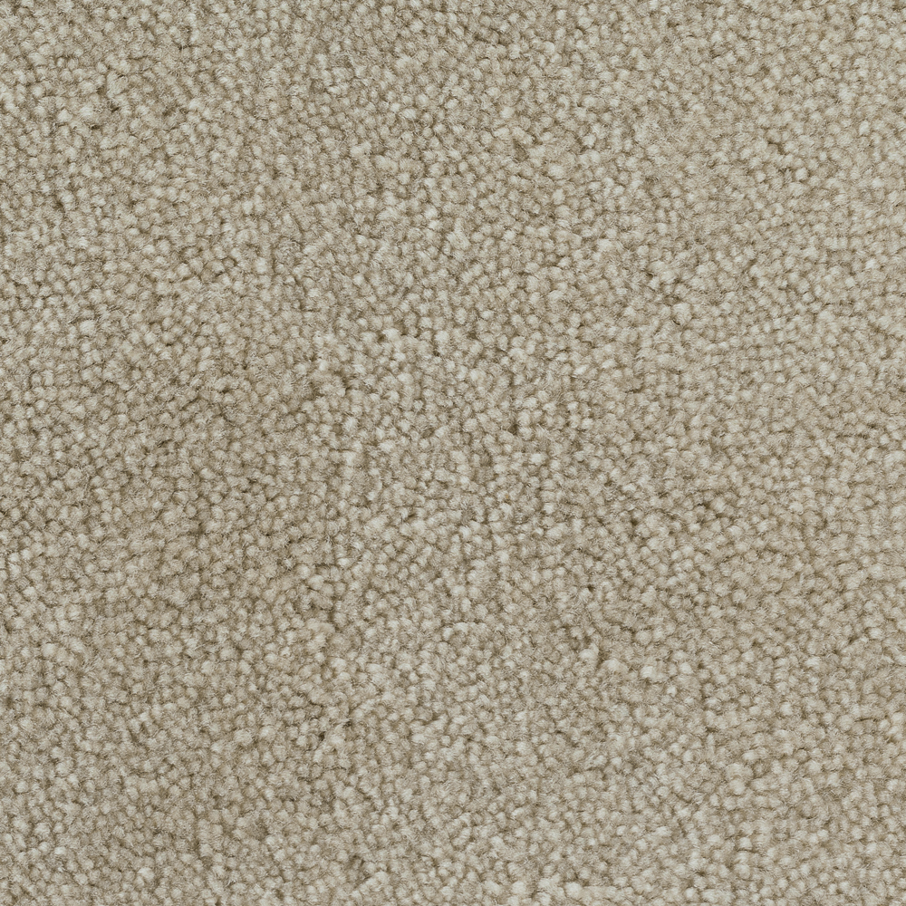 Mondo Wheat