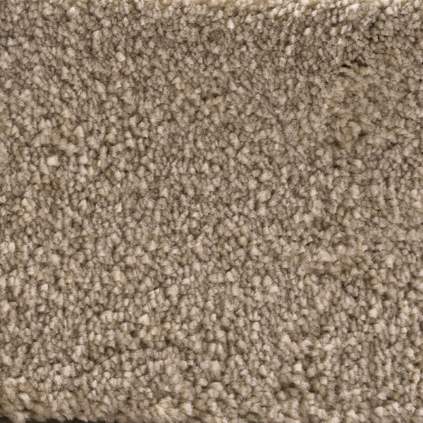 Sanford Almond