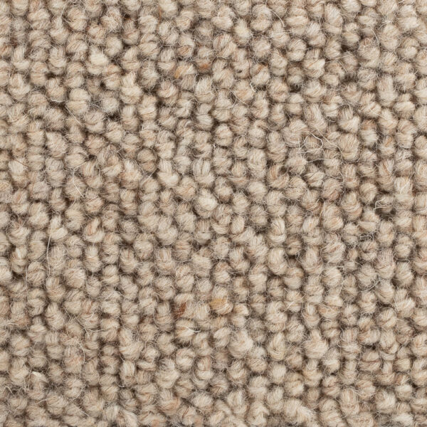Auckland Sand