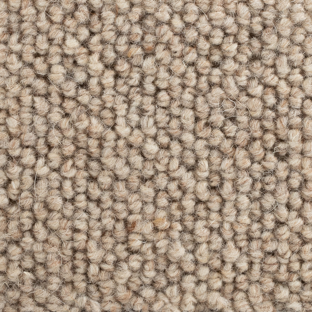 Auckland Sand