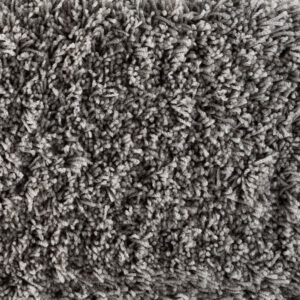 Bichon Gray