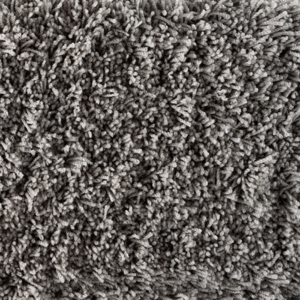 Bichon Gray