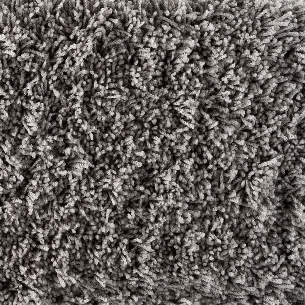 Bichon Gray