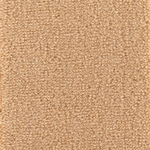 Astoria Base Camel