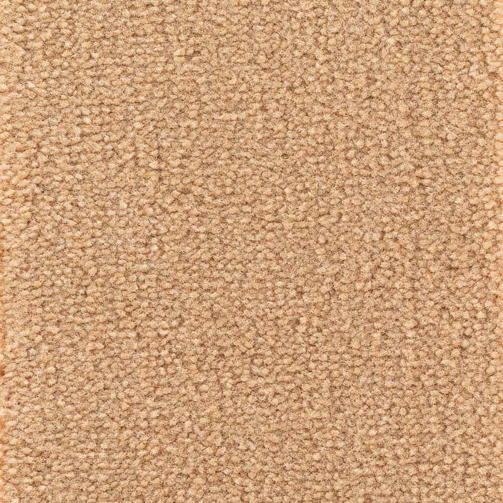 Astoria Base Camel