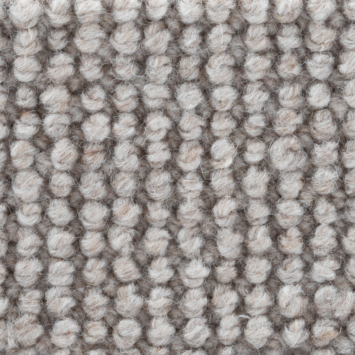 Wellington Taupe