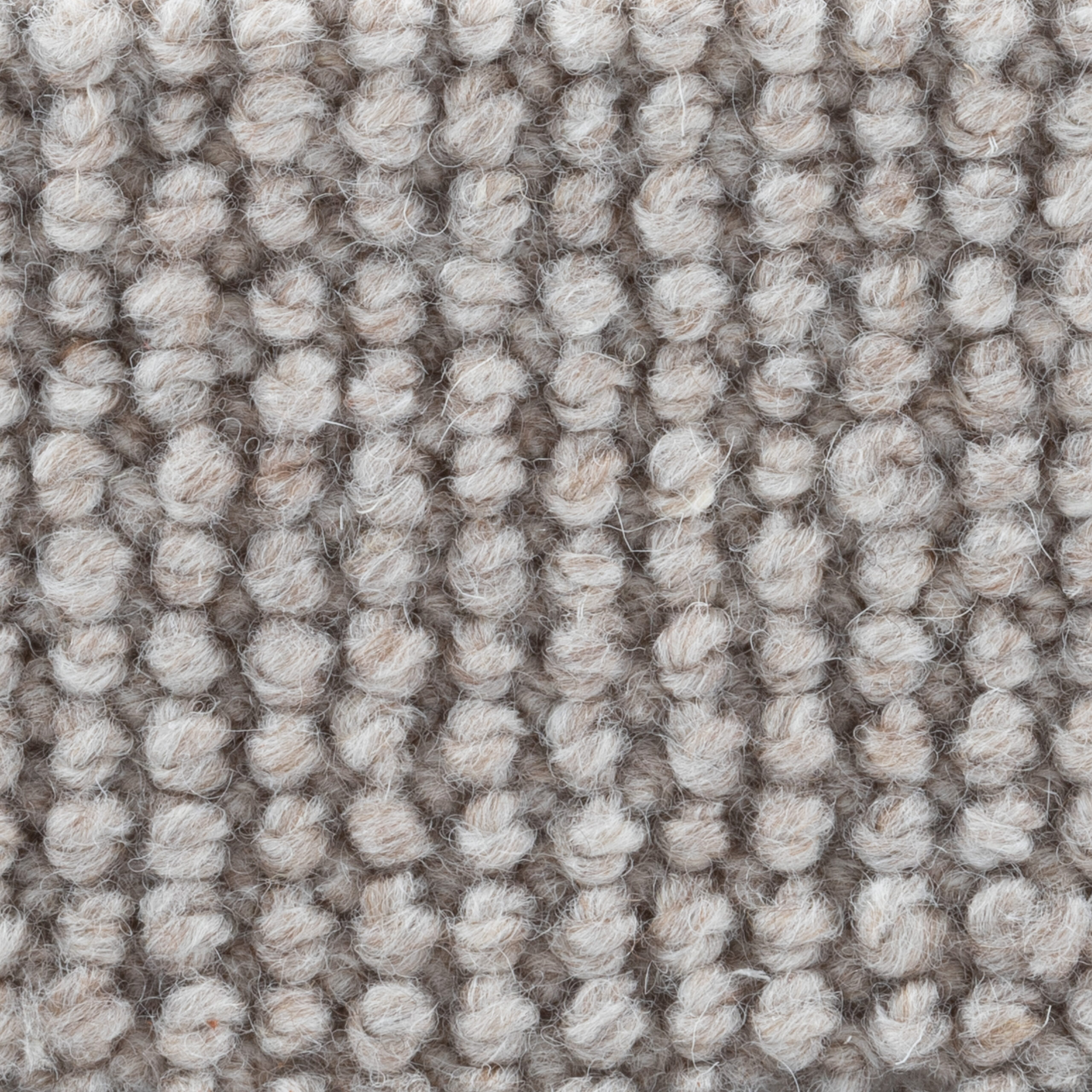 Wellington Taupe