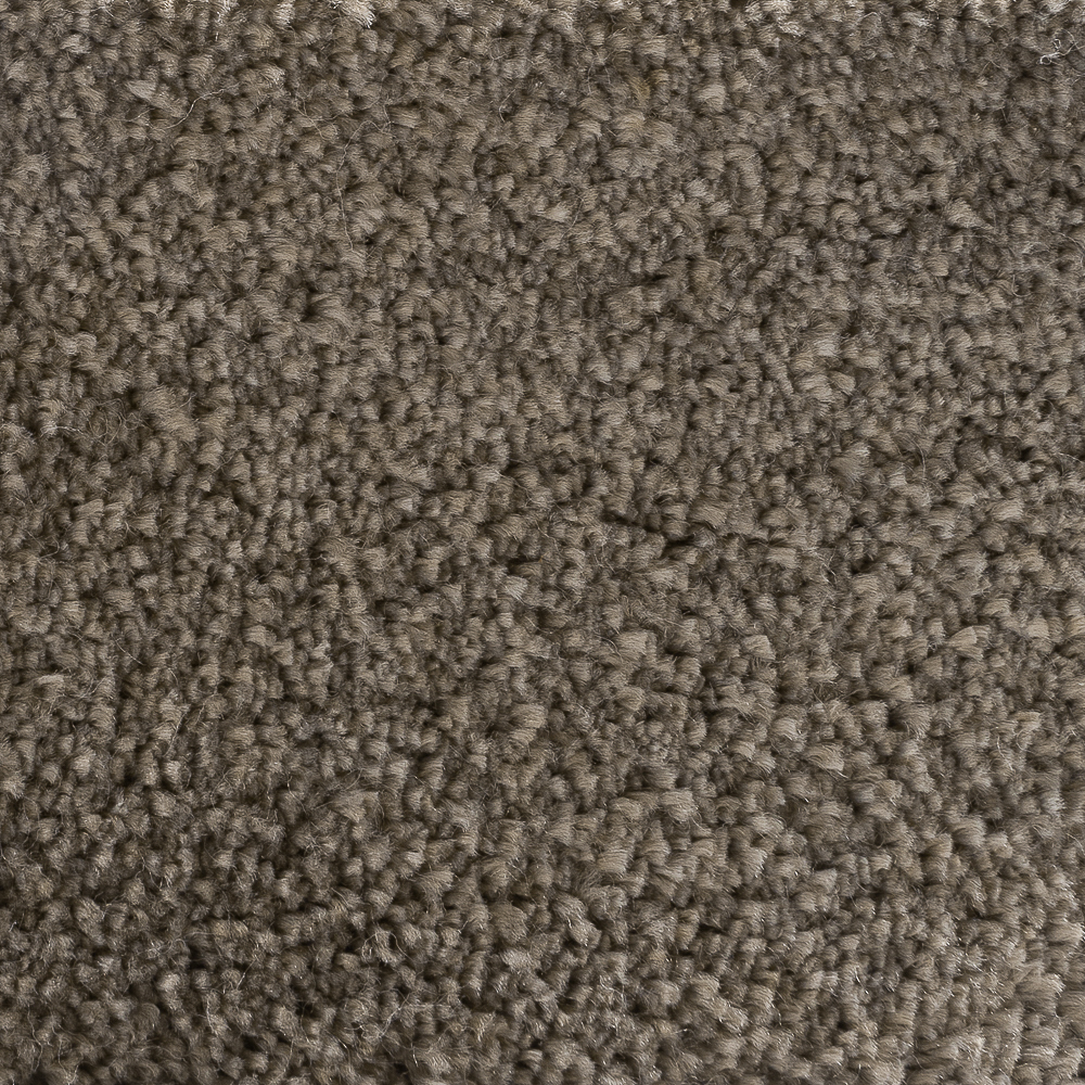 Sanford Taupe