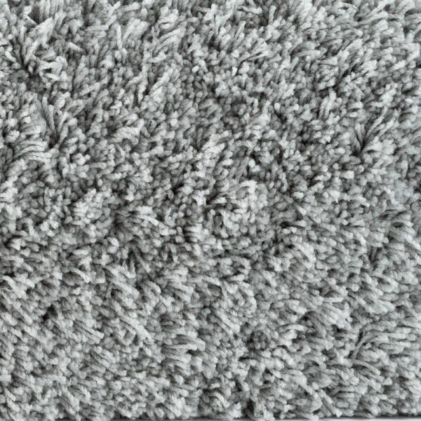 Bichon Ash