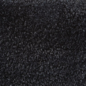 Sanford Coal