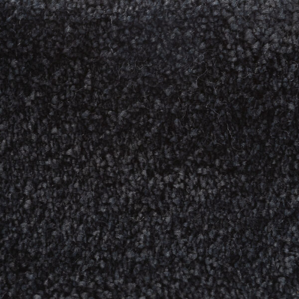 Sanford Coal