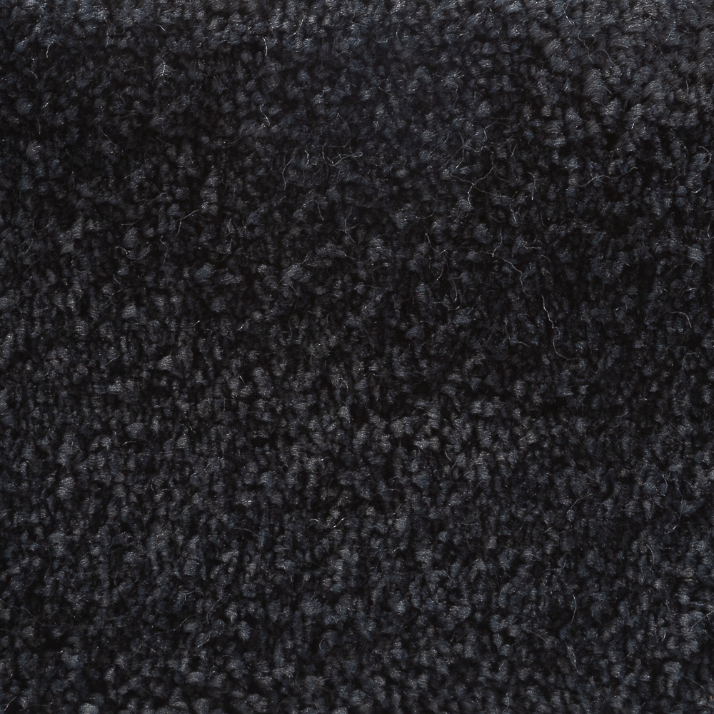 Sanford Coal