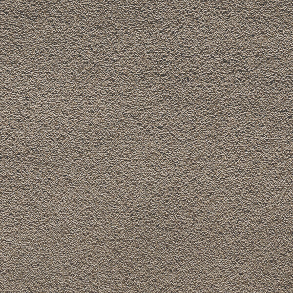 Camelot Taupe