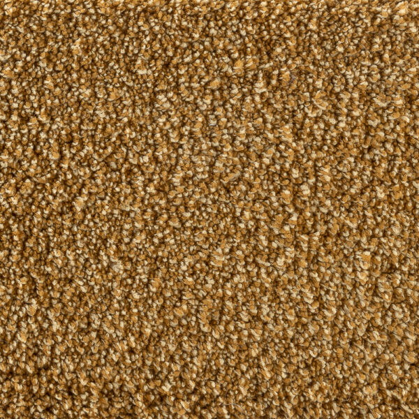 Kastell Amber