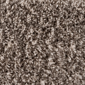 Bichon Sand