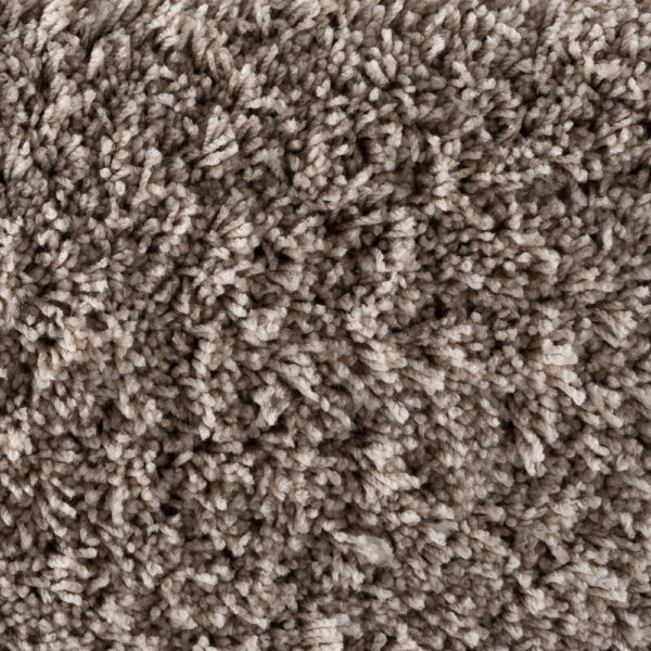 Bichon Sand