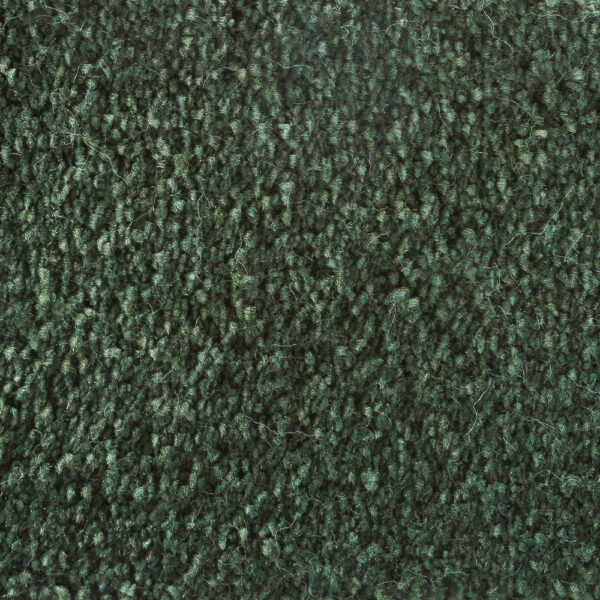 Sanford Forest
