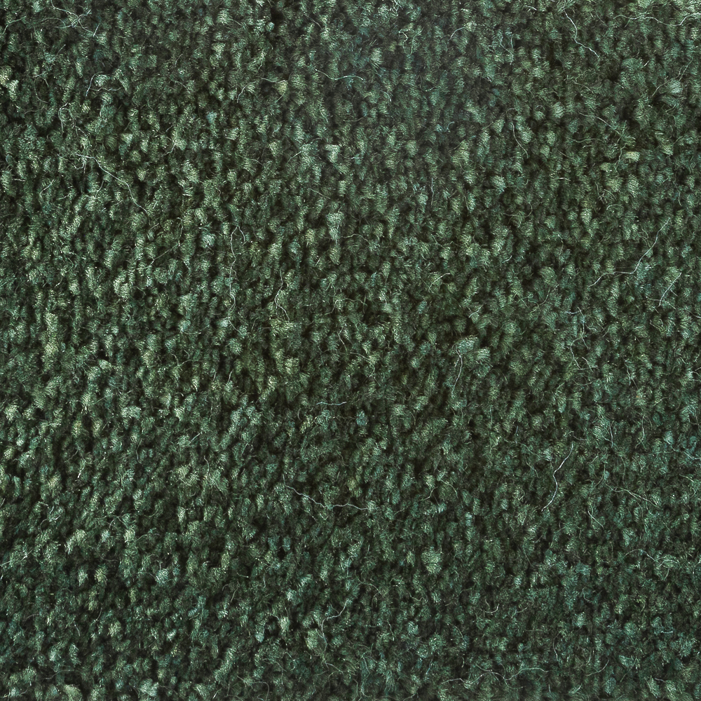 Sanford Forest