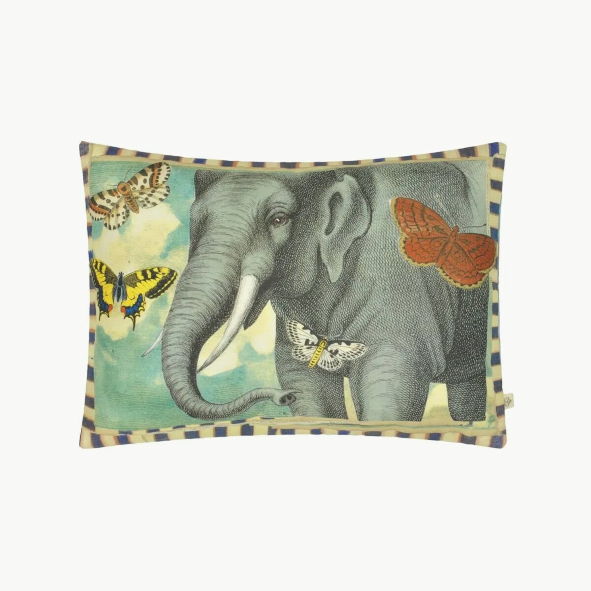 Elephant's Trunk Sky Pute
