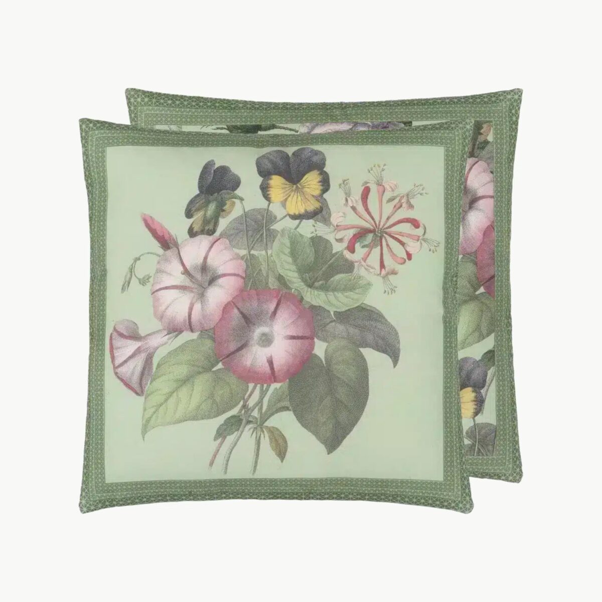 Botany Sage Pute 50x50