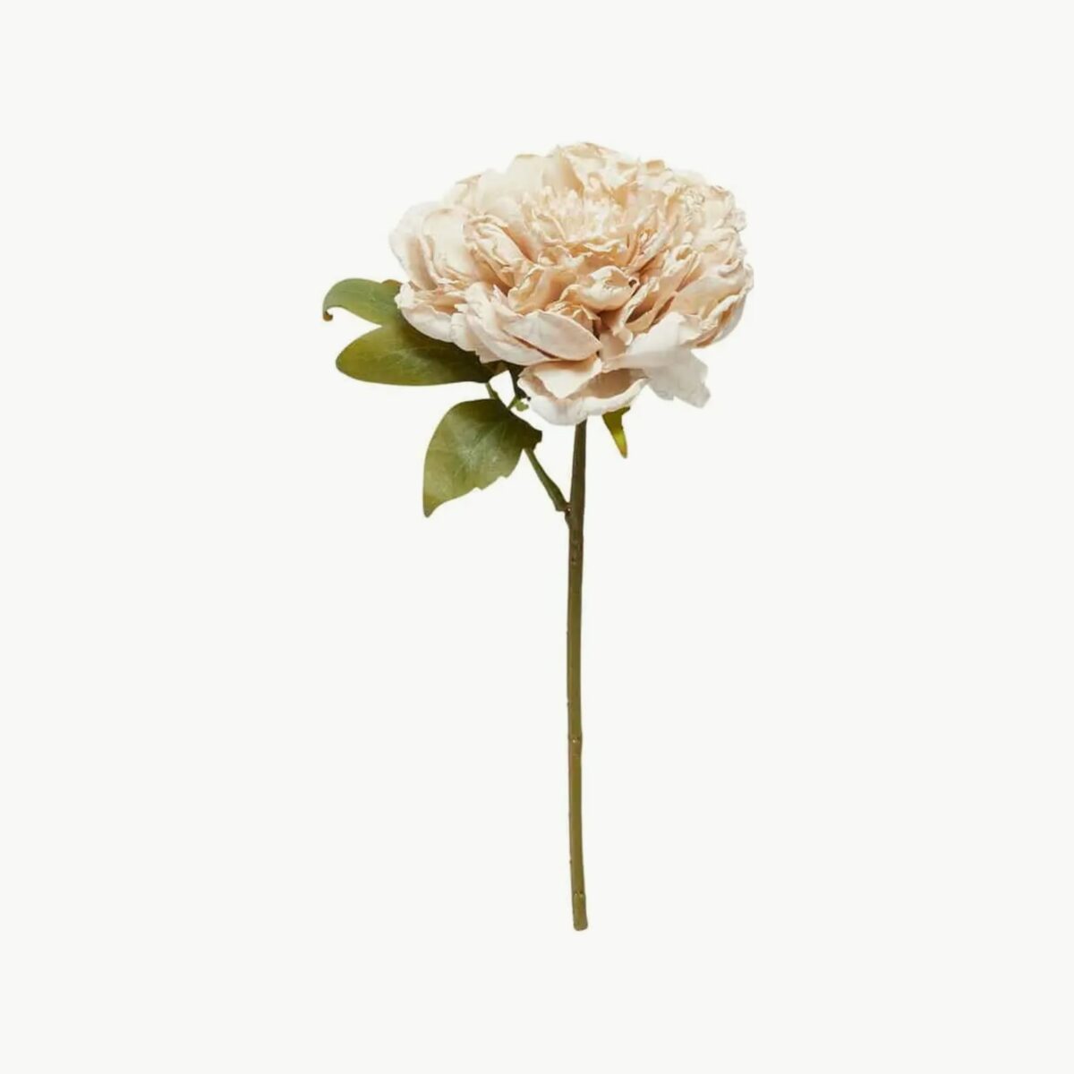 Speedtberg - Kunstig Poen lys rosa 30cm