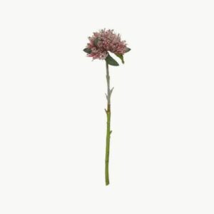 Blomsterstilk Bordeaux 47cm