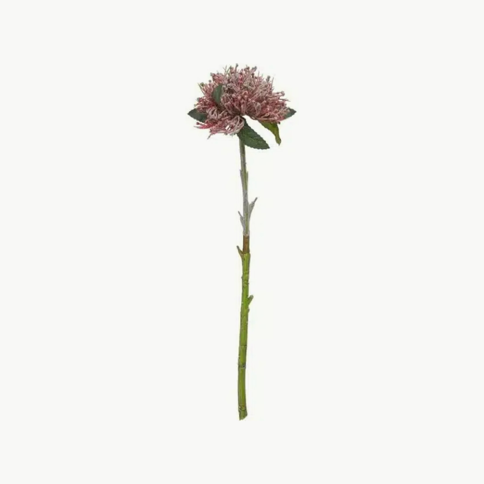 Blomsterstilk Bordeaux 47cm