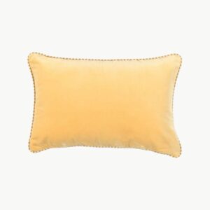 Pyntepute Olympe Petit Beurre