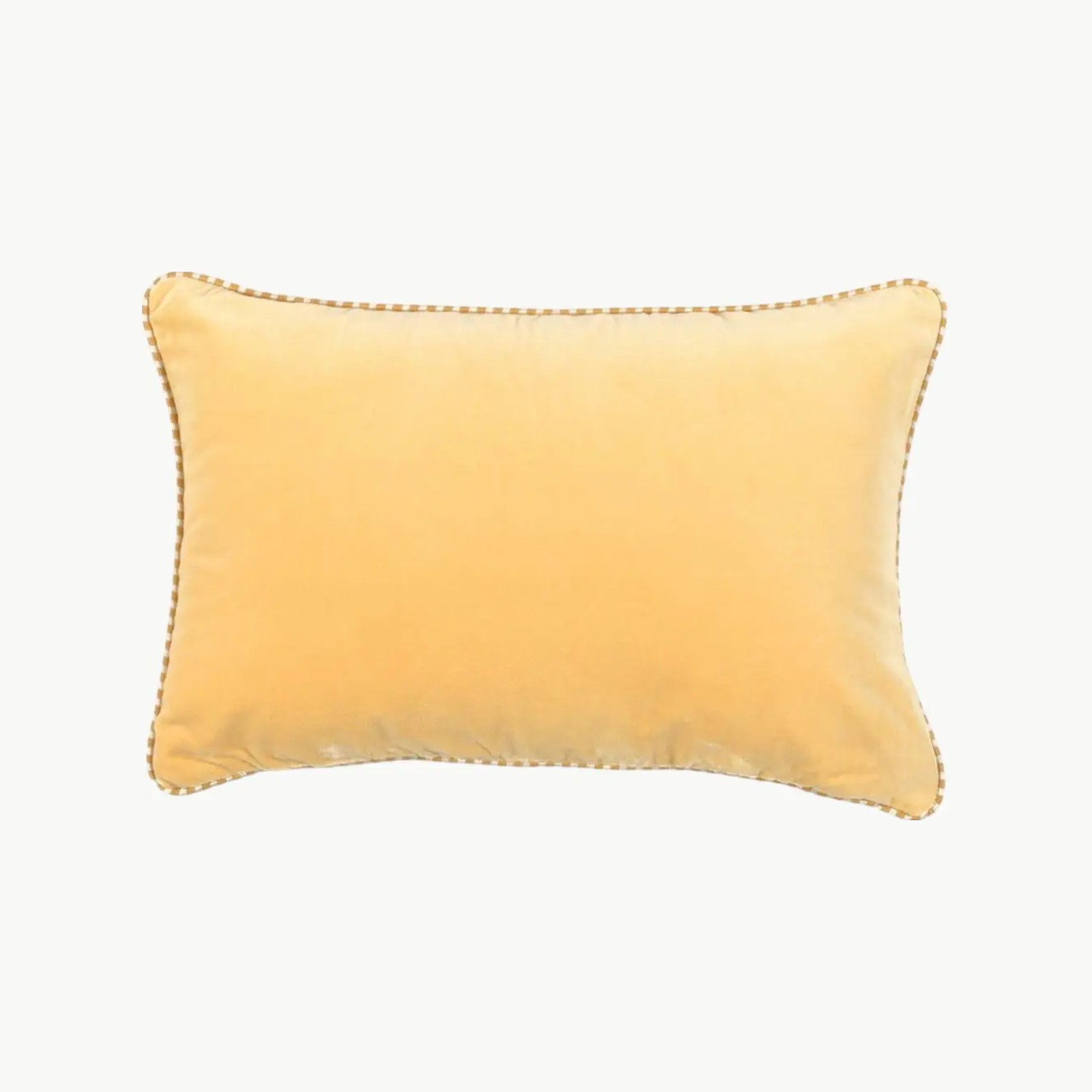 Pyntepute Olympe Petit Beurre