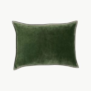 Aristote Figuier pyntepute 40x55