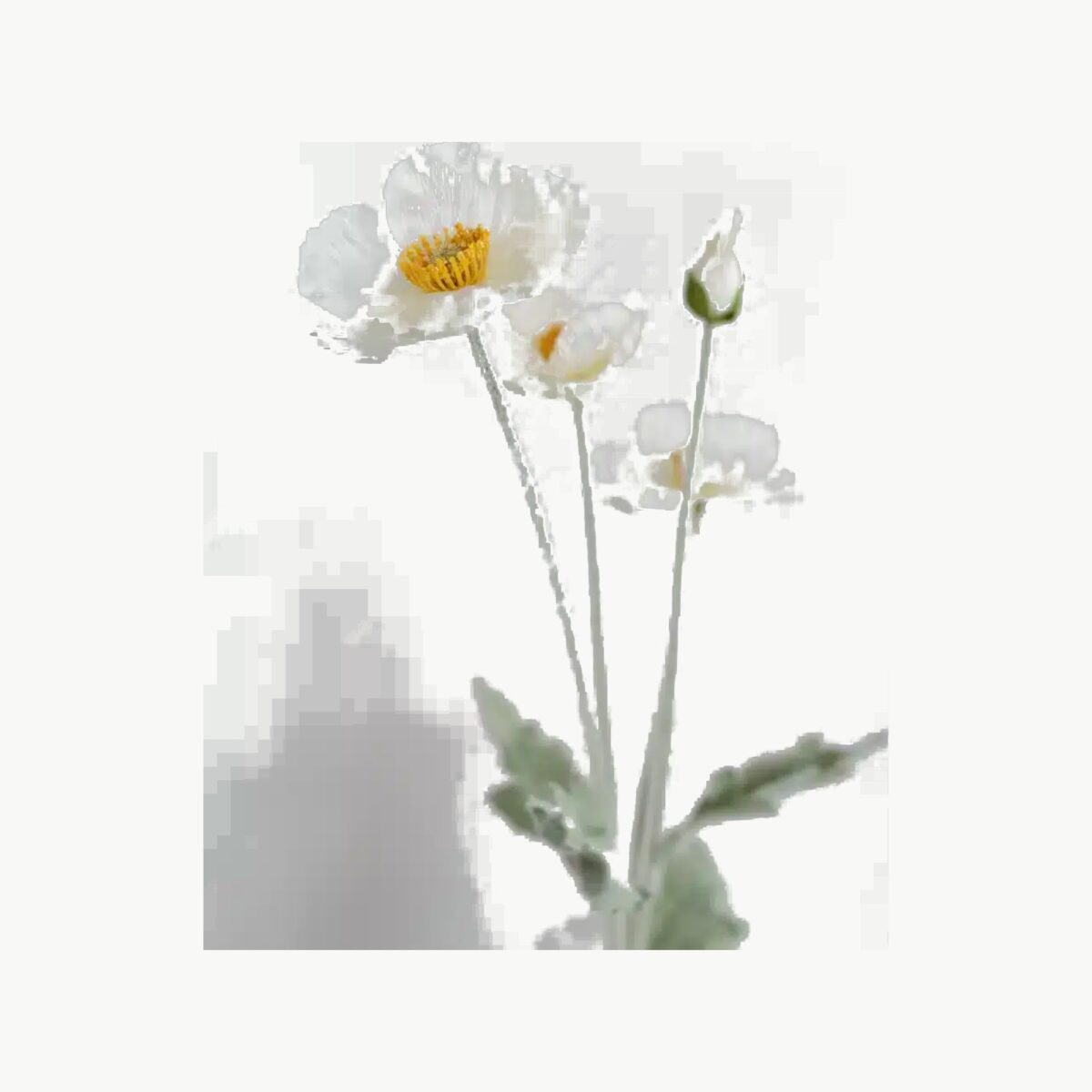 Nydelig kunstig blomst. Kremfarget Valmue. 60cm. Veldig i naturtro i form og farge. Laget av 80% silke